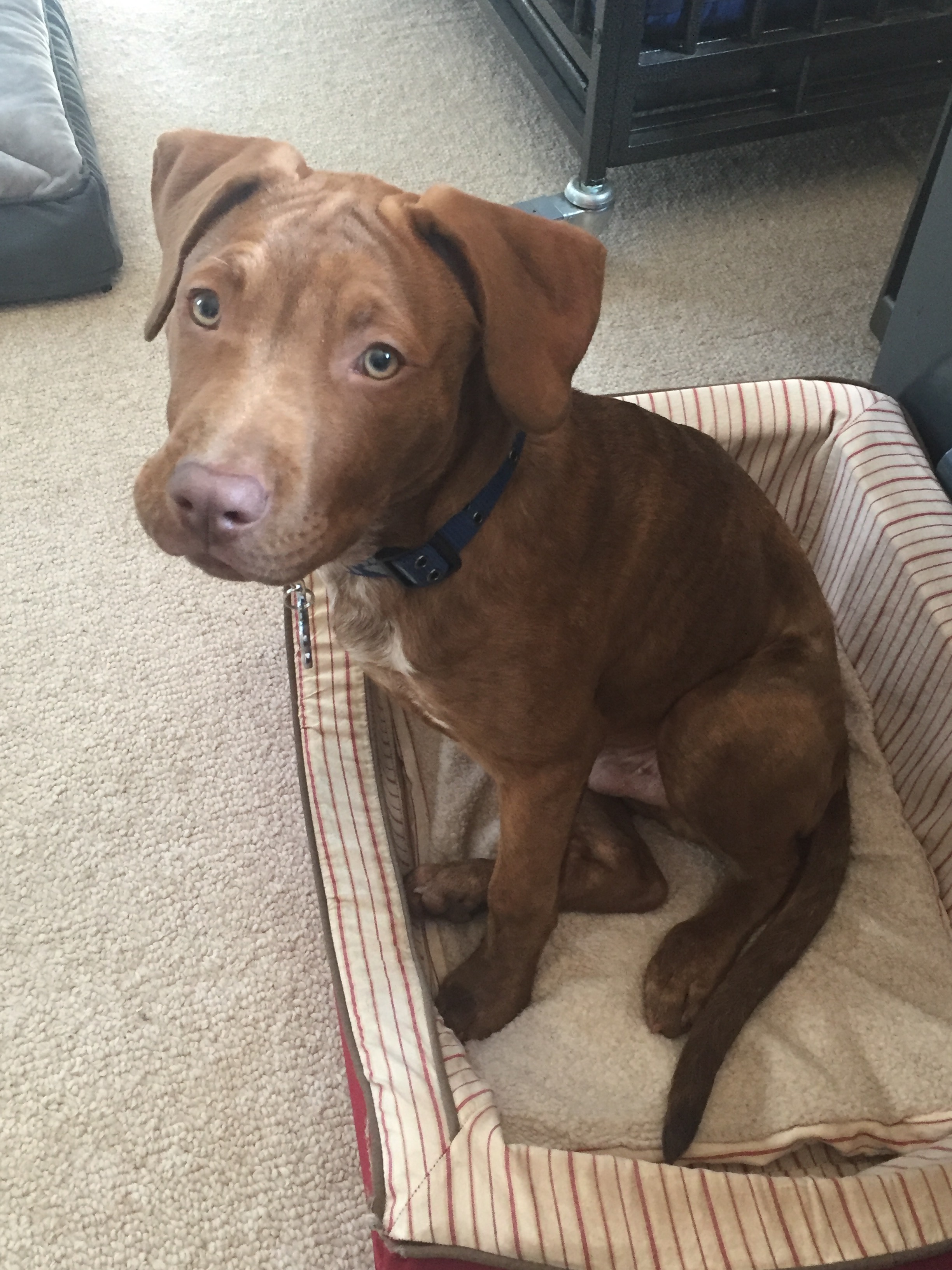 Declan sitting in his bed